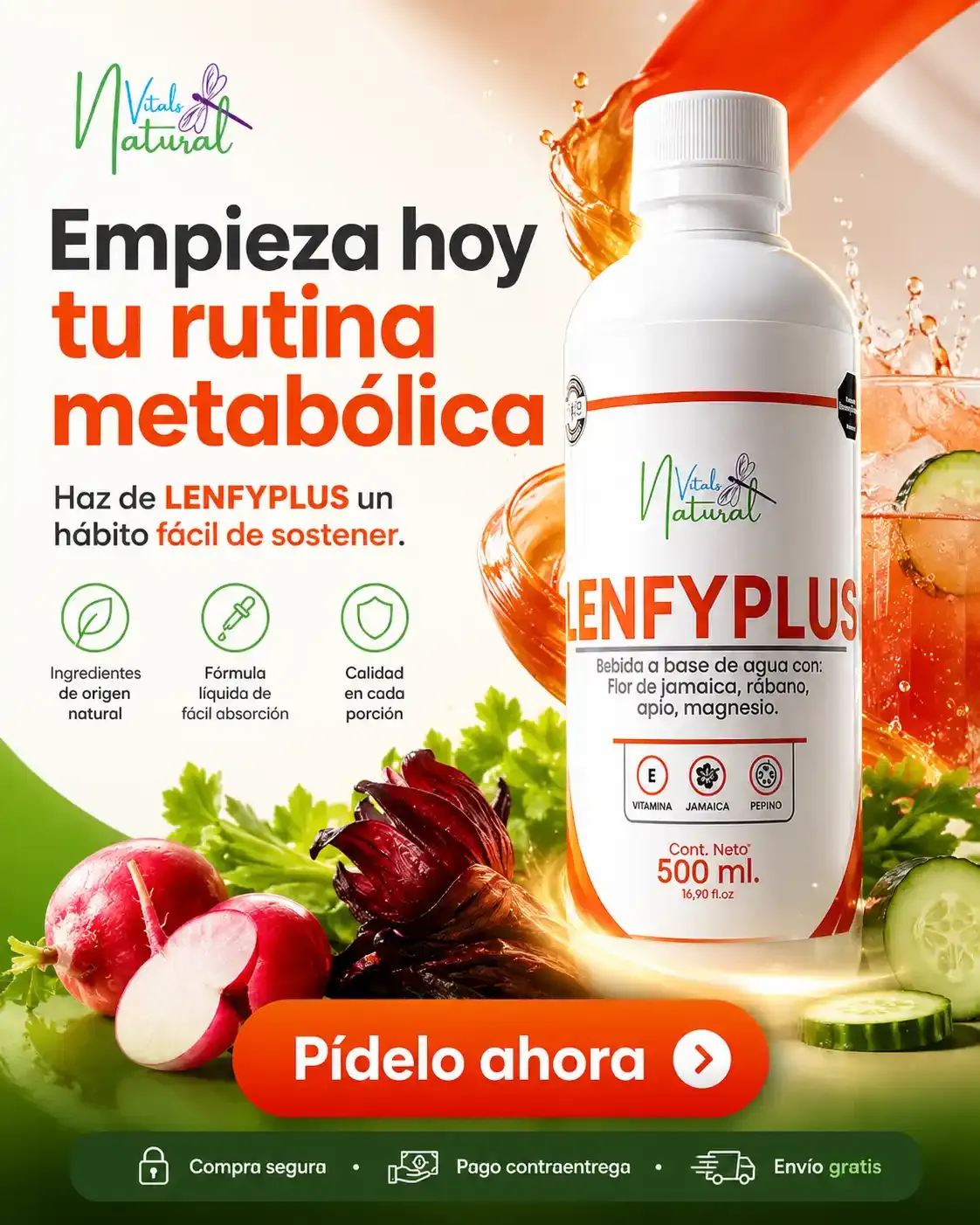 lenfyplus-tu-rutina-metabolica-diaria